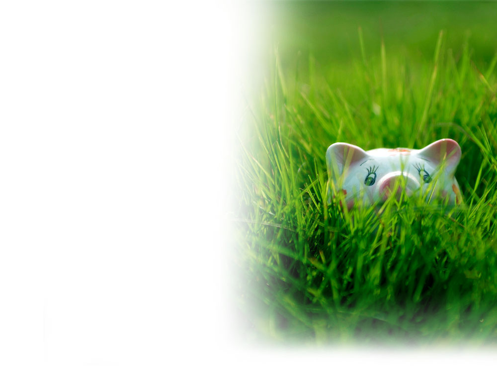 background image for page 2